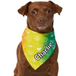 Frisco Rainbow Hearts Personalized Dog & Cat Bandana -Cat Pet Supplies 267539 PT5. AC SS1800 V1632432071