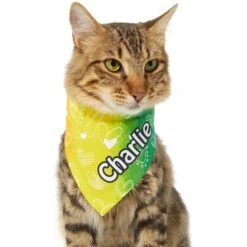 Frisco Rainbow Hearts Personalized Dog & Cat Bandana -Cat Pet Supplies 267539 PT6. AC SS1800 V1632420703