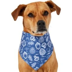 Frisco Fall Vibes Dog & Cat Bandana -Cat Pet Supplies 267913 PT2. AC SS1800 V1637722647