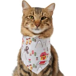 Frisco Wintry Vibes Dog & Cat Bandana 13 Frisco Wintry Vibes Dog & Cat Bandana -Cat Pet Supplies 267916 PT3. AC SS1800 V1637657814