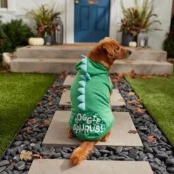 Frisco Doggiesaurus Dog & Cat Hoodie, Green -Cat Pet Supplies 268033 PT8. AC SS1800 V1629763006