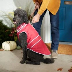 Frisco Mediumweight Reflective Water-Resistant Insulated Dog & Cat Coat -Cat Pet Supplies 268342 PT8. AC SS1800 V1629764397