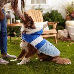 Frisco Heavyweight Chevron Insulated Dog & Cat Parka With Pocket -Cat Pet Supplies 268405 PT8. AC SS1800 V1629766395