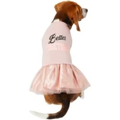 Frisco Better Together Dog & Cat Dress 11 Frisco Better Together Dog & Cat Dress -Cat Pet Supplies 268652 PT2. AC SS1800 V1637672268