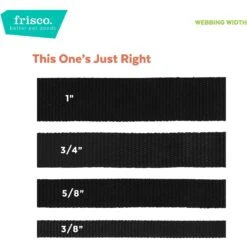 Frisco Midnight Floral Cat Collar 11 Frisco Midnight Floral Cat Collar -Cat Pet Supplies 269490 PT6. AC SS1800 V1629992485