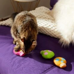 Frisco Colorful Skulls Plush Cat Toy With Catnip, 3 Count 9 Frisco Colorful Skulls Plush Cat Toy With Catnip, 3 Count -Cat Pet Supplies 270325 PT3. AC SS1800 V1630350992