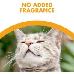 Feline Pine Platinum Natural Pine Cat Litter -Cat Pet Supplies 272685 PT4. AC SS1800 V1663798048