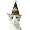 Frisco Happy New Year Dog & Cat Hat -Cat Pet Supplies 276190 MAIN. AC SS1800 V1631302647