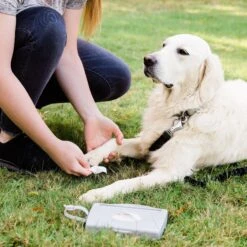 Ubbi® Ubbi On-The-Go Dog & Cat Wipes Dispenser -Cat Pet Supplies 279128 PT3. AC SS1800 V1615509403