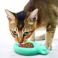 Doc & Phoebe's Cat Co. The Wet Feeder Cat Slow Feeder, Blue -Cat Pet Supplies 279343 PT3. AC SS1800 V1617402813