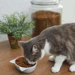 Disney Aristocats Marie Non-skid Ceramic Cat Bowl -Cat Pet Supplies 280578 PT3. AC SS1800 V1629986677