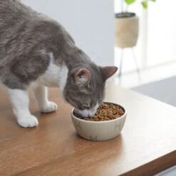 STAR WARS Tie Fighter No-Skid Ceramic Cat Bowl -Cat Pet Supplies 280654 PT3. AC SS1800 V1629986947