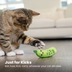 Catstages Crunchy Pickle Kicker Plush Cat Toy With Catnip 13 Catstages Crunchy Pickle Kicker Plush Cat Toy With Catnip -Cat Pet Supplies 282267 PT5. AC SS1800 V1682521227