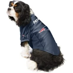 Littlearth NFL Stretch Dog & Cat Jersey, New England Patriots -Cat Pet Supplies 284186 PT2. AC SS1800 V1619595132