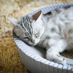 Katris Pre-Assembled Nest Scratcher Lounge Cat Bed -Cat Pet Supplies 285031 PT3. AC SS1800 V1632953199
