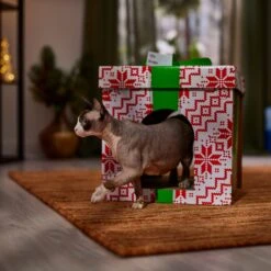Frisco Holiday Gift Box Cardboard Cat House 12 Frisco Holiday Gift Box Cardboard Cat House -Cat Pet Supplies 287291 PT4. AC SS1800 V1695045716