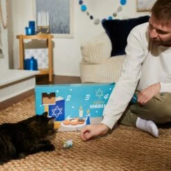 Frisco Holiday 8 Days Of Hanukkah Cardboard Calendar With Toys For Cats 10 Frisco Holiday 8 Days Of Hanukkah Cardboard Calendar With Toys For Cats -Cat Pet Supplies 287301 PT4. AC SS1800 V1689793188