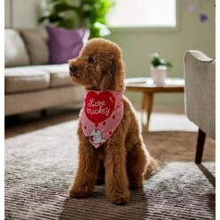 Disney Mickey Mouse "Love Mickey" Dog & Cat Bandana -Cat Pet Supplies 290119 PT5. AC SS1800 V1637362002