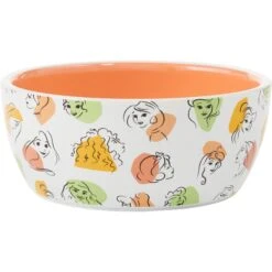 Disney Princesses Non-Skid Ceramic Cat Bowl