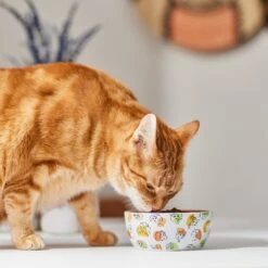 Disney Princesses Non-Skid Ceramic Cat Bowl -Cat Pet Supplies 291395 PT3. AC SS1800 V1633979293