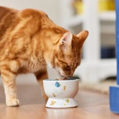 Pixar Finding Nemo Short Shape Non-Skid Elevated Ceramic Cat Bowl -Cat Pet Supplies 291431 PT3. AC SS1800 V1633978887