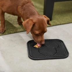 Disney Mickey Silicone Dog & Cat Lick Mat -Cat Pet Supplies 291437 PT2. AC SS1800 V1633978976