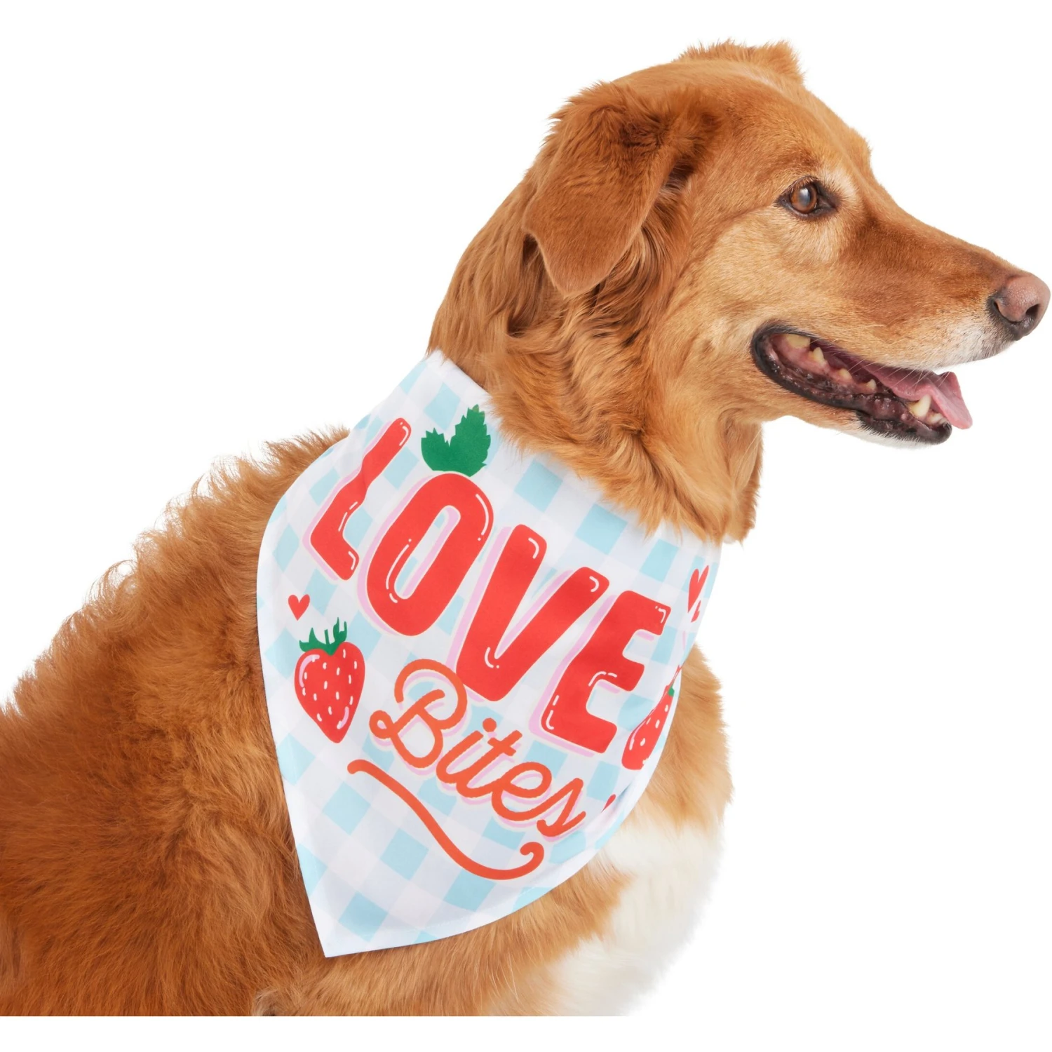 Frisco Love Bites Dog & Cat Bandana 3 Frisco Love Bites Dog & Cat Bandana