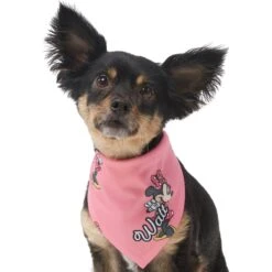 Disney Minnie Mouse Golden Days Personalized Dog & Cat Bandana -Cat Pet Supplies 294297 PT6. AC SS1800 V1625151804
