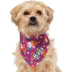 Frisco Fall Floral Personalized Dog & Cat Bandana 17 Frisco Fall Floral Personalized Dog & Cat Bandana -Cat Pet Supplies 296990 PT6. AC SS1800 V1627654305