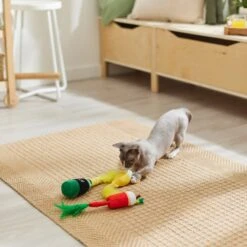 Frisco Brunch Bottomless Mimosas Plush Cat Toy With Catnip, 3 Count -Cat Pet Supplies 297288 PT2. AC SS1800 V1642088553