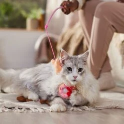 Disney Mickey & Minnie Mouse Donut Teaser Cat Toy With Catnip -Cat Pet Supplies 299005 PT3. AC SS1800 V1701364869