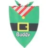 Frisco Santa's Favorite Elf Personalized Dog & Cat Bandana 2 Frisco Santa's Favorite Elf Personalized Dog & Cat Bandana -Cat Pet Supplies 301369 MAIN. AC SS1800 V1627654925