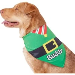 Frisco Santa's Favorite Elf Personalized Dog & Cat Bandana 16 Frisco Santa's Favorite Elf Personalized Dog & Cat Bandana -Cat Pet Supplies 301369 PT6. AC SS1800 V1628100146