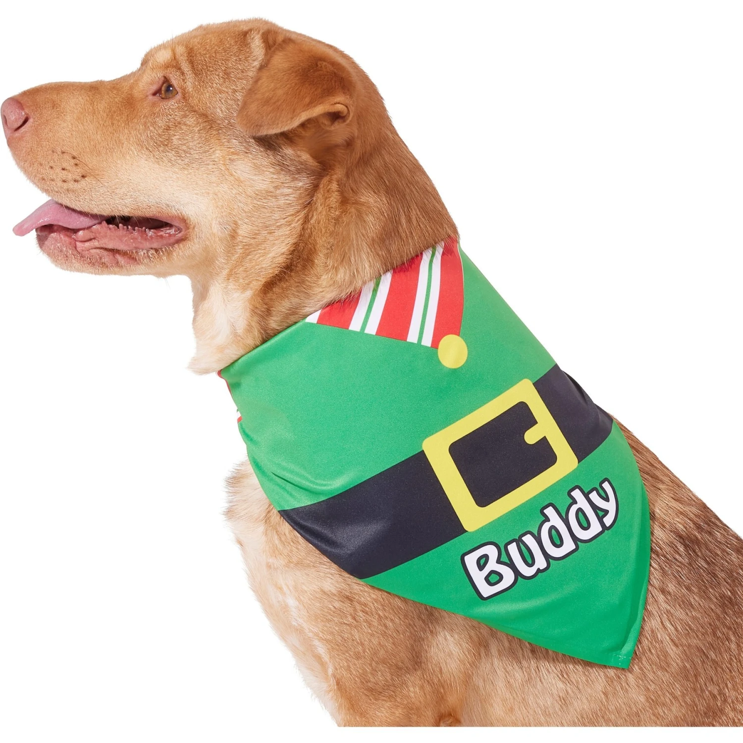 Frisco Santa's Favorite Elf Personalized Dog & Cat Bandana 9 Frisco Santa's Favorite Elf Personalized Dog & Cat Bandana - Image 7