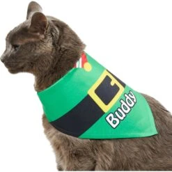 Frisco Santa's Favorite Elf Personalized Dog & Cat Bandana 17 Frisco Santa's Favorite Elf Personalized Dog & Cat Bandana -Cat Pet Supplies 301369 PT7. AC SS1800 V1628100114