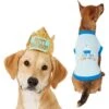 Frisco Happy Birthday Dog & Cat Crown & Frisco It's My Birthday & Cat T-Shirt 2 Frisco Happy Birthday Dog & Cat Crown & Frisco It's My Birthday & Cat T-Shirt -Cat Pet Supplies 302470 MAIN. AC SS1800 V1623076950