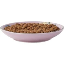 Frisco Paris Non-skid Ceramic Cat Dish & Frisco Paris Non-skid Ceramic Cat Dish 13 Frisco Paris Non-skid Ceramic Cat Dish & Frisco Paris Non-skid Ceramic Cat Dish -Cat Pet Supplies 302490 PT2. AC SS1800 V1623058041