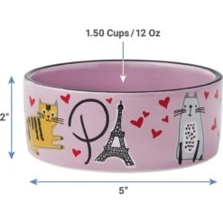 Frisco Paris Non-skid Ceramic Cat Dish & Frisco Paris Non-skid Ceramic Cat Dish 18 Frisco Paris Non-skid Ceramic Cat Dish & Frisco Paris Non-skid Ceramic Cat Dish -Cat Pet Supplies 302490 PT7. AC SS1800 V1623054762