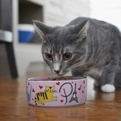 Frisco Paris Non-skid Ceramic Cat Dish & Frisco Paris Non-skid Ceramic Cat Dish 19 Frisco Paris Non-skid Ceramic Cat Dish & Frisco Paris Non-skid Ceramic Cat Dish -Cat Pet Supplies 302490 PT8. AC SS1800 V1623043046