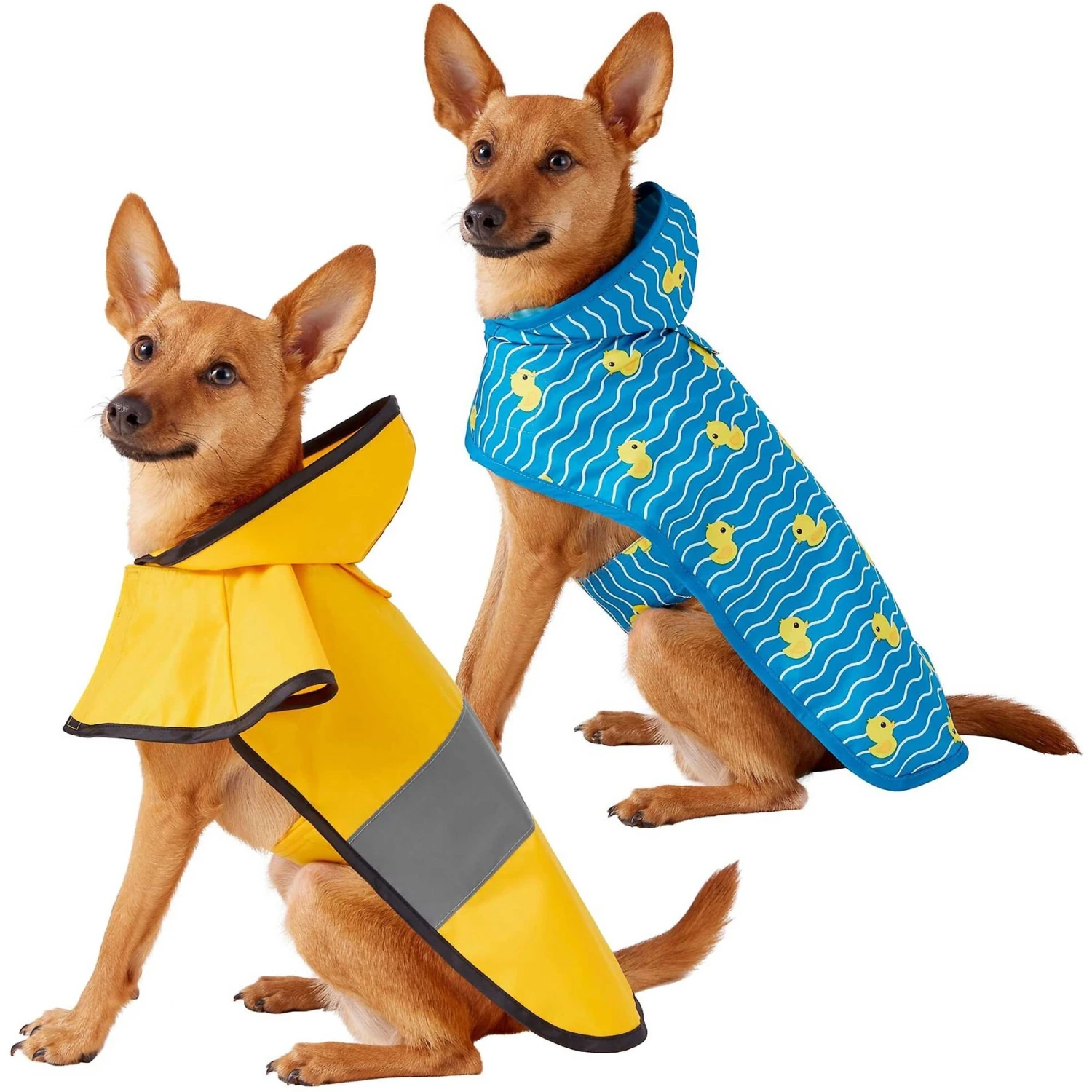 Frisco Lightweight Rainy Days Dog Raincoat & Frisco Lightweight Rubber Ducky Dog Raincoat 3 Frisco Lightweight Rainy Days Dog Raincoat & Frisco Lightweight Rubber Ducky Dog Raincoat
