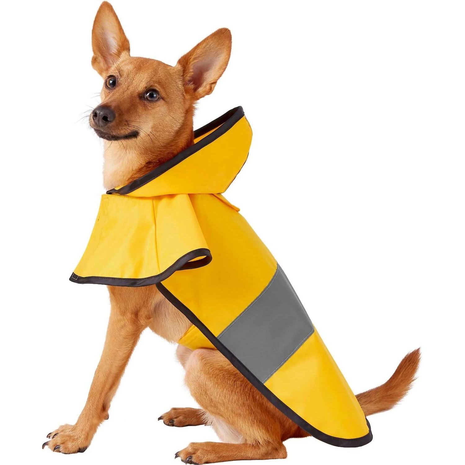 Frisco Lightweight Rainy Days Dog Raincoat & Frisco Lightweight Rubber Ducky Dog Raincoat 4 Frisco Lightweight Rainy Days Dog Raincoat & Frisco Lightweight Rubber Ducky Dog Raincoat - Image 2