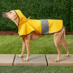 Frisco Lightweight Rainy Days Dog Raincoat & Frisco Lightweight Rubber Ducky Dog Raincoat 15 Frisco Lightweight Rainy Days Dog Raincoat & Frisco Lightweight Rubber Ducky Dog Raincoat -Cat Pet Supplies 302842 PT4. AC SS1800 V1623052647
