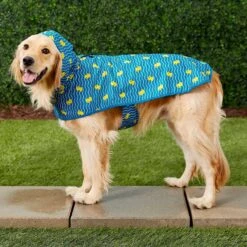 Frisco Lightweight Rainy Days Dog Raincoat & Frisco Lightweight Rubber Ducky Dog Raincoat 18 Frisco Lightweight Rainy Days Dog Raincoat & Frisco Lightweight Rubber Ducky Dog Raincoat -Cat Pet Supplies 302842 PT7. AC SS1800 V1623040668