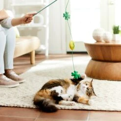 Frisco St. Patrick's Shamrock Teaser Wand Cat Toy With Catnip -Cat Pet Supplies 303108 PT3. AC SS1800 V1641230422