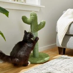 Frisco Novelty Unicorn Covered Cat & Dog Bed & Frisco Cactus Cat Scratching Post -Cat Pet Supplies 303496 PT7. AC SS1800 V1623062246