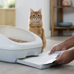 Frisco Cat Litter Pads, Scented 14 Frisco Cat Litter Pads, Scented -Cat Pet Supplies 309828 PT5. AC SS1800 V1675280050