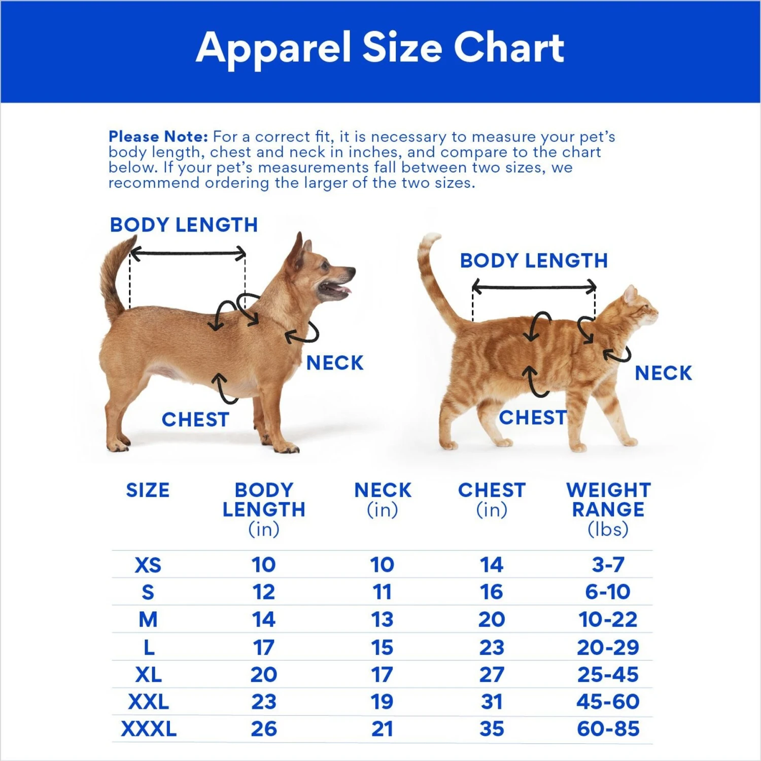 Disney Stitch Pocket Dog & Cat T-shirt 4 Disney Stitch Pocket Dog & Cat T-shirt - Image 2