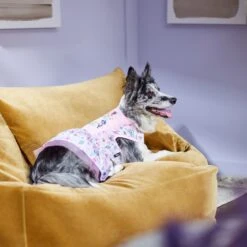 Disney Princesses "Be-YOU-tiful" Dog & Cat Dress -Cat Pet Supplies 311833 PT8. AC SS1800 V1643323941