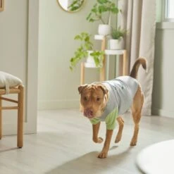 STAR WARS THE MANDALORIAN GROGU "Doesn't Listen" Dog & Cat Raglan T-shirt -Cat Pet Supplies 311884 PT8. AC SS1800 V1643325840