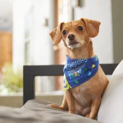 Pixar Monster's Inc "Monsters Make The Best Friends" Dog & Cat Bandana 15 Pixar Monster's Inc "Monsters Make The Best Friends" Dog & Cat Bandana -Cat Pet Supplies 311940 PT8. AC SS1800 V1643330938